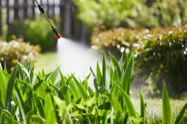 Tamper-Resistant Bait Stations for Rodents in Montague